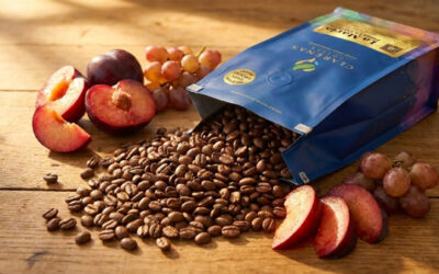 From Colombia to Laconia: Rare Speciality Coffee Arrives in New Hampshire